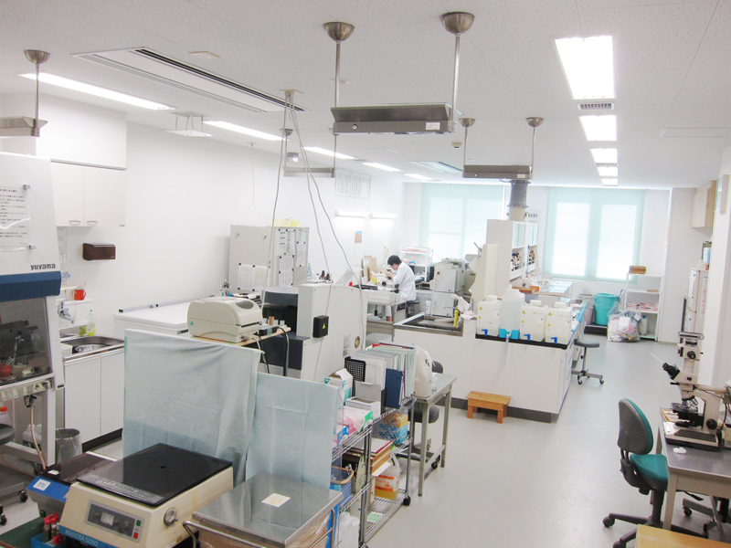 標本作製室の様子