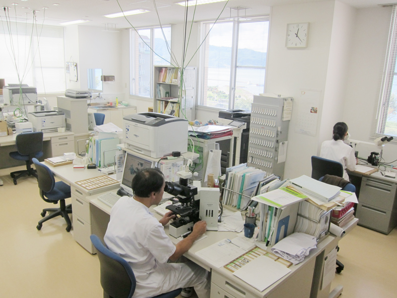 鏡検室の様子